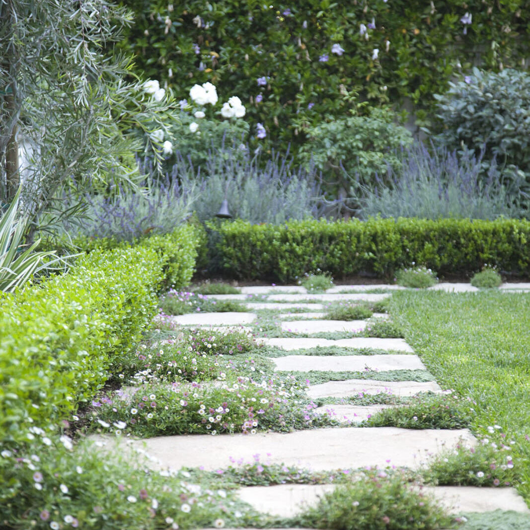 Photo & Design by Gabriela Yariv Landscape Design